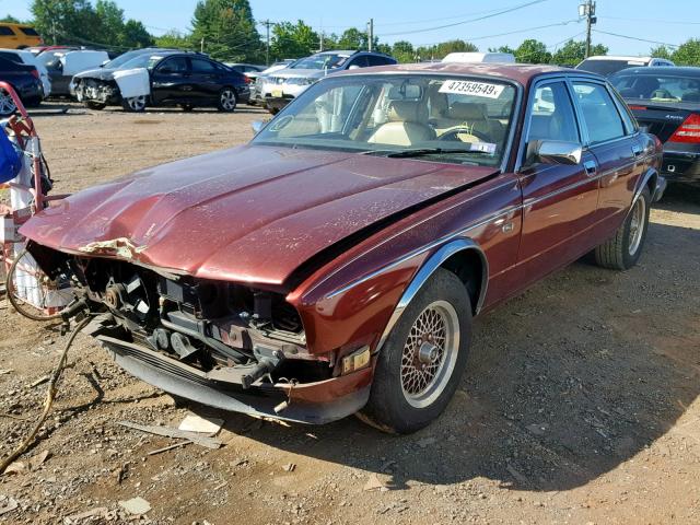 SAJMY174XLC603146 - 1990 JAGUAR VANDENPLAS BURGUNDY photo 2