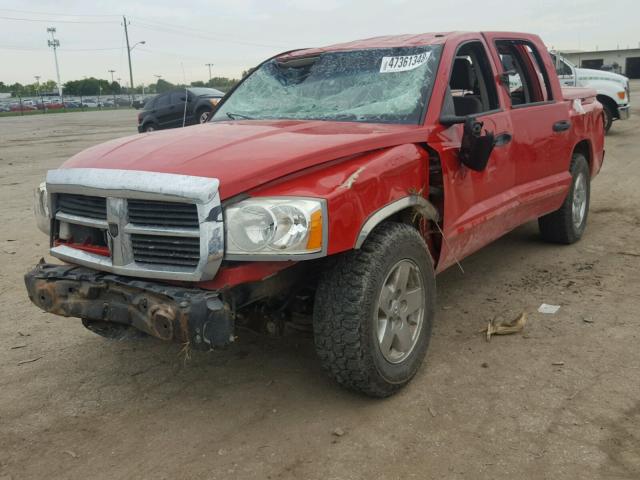 1D7HE48NX5S341712 - 2005 DODGE DAKOTA QUA RED photo 2