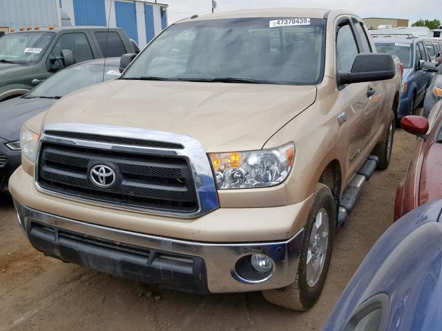 5TFUW5F1XAX138117 - 2010 TOYOTA TUNDRA DOU GOLD photo 2