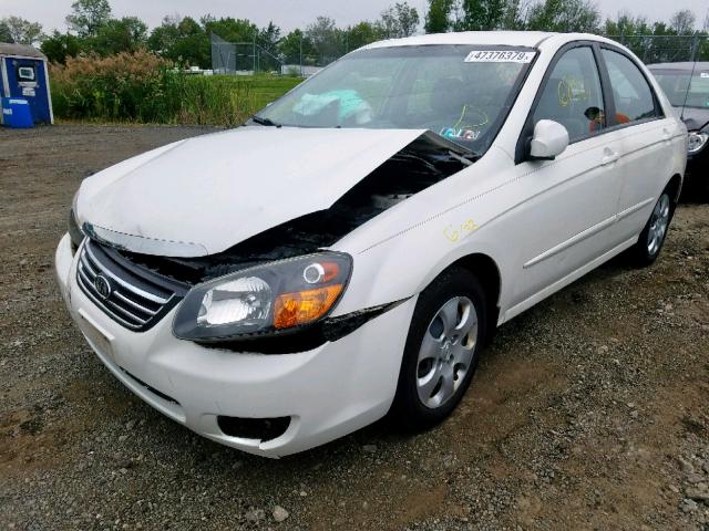 KNAFE222295665985 - 2009 KIA SPECTRA EX WHITE photo 2