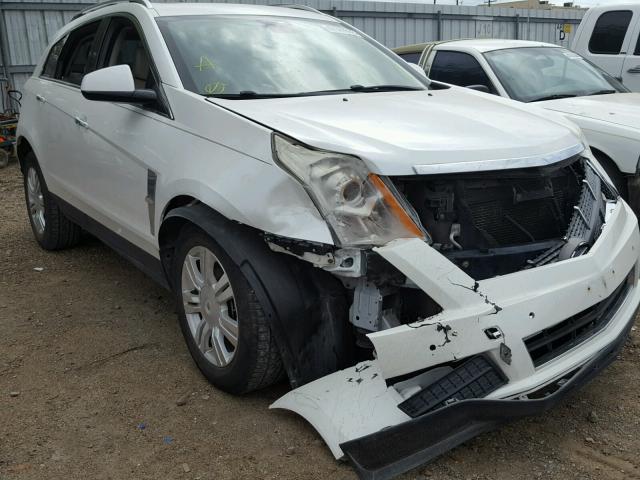 3GYFNAEY9AS558790 - 2010 CADILLAC SRX LUXURY WHITE photo 1