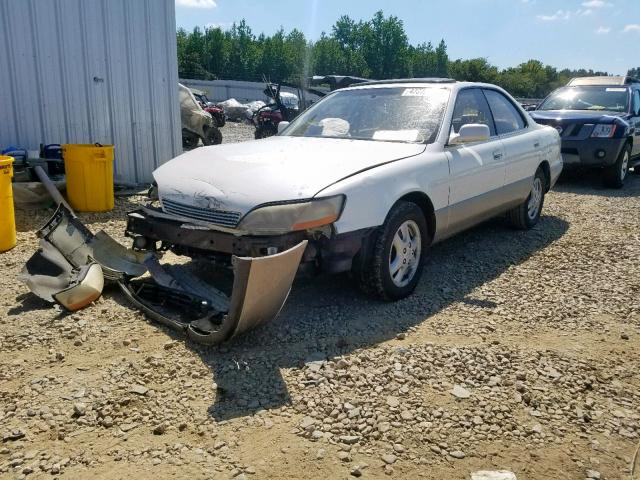 JT8GK13T3R0026110 - 1994 LEXUS ES 300 WHITE photo 2