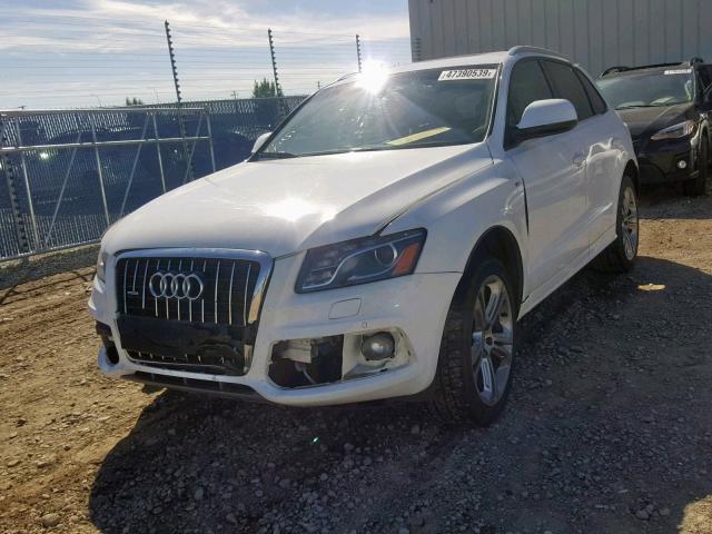 WA1KK78R09A040899 - 2009 AUDI Q5 3.2 WHITE photo 9