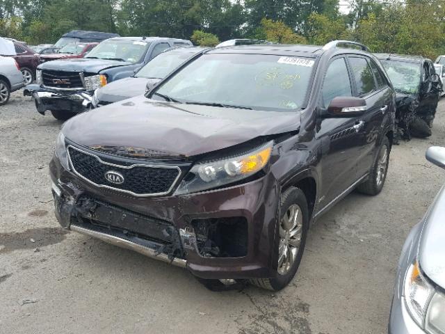 5XYKWDA20CG195241 - 2012 KIA SORENTO SX BURGUNDY photo 2