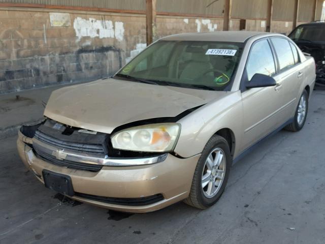 1G1ZT54835F195276 - 2005 CHEVROLET MALIBU LS Dorado foto 2