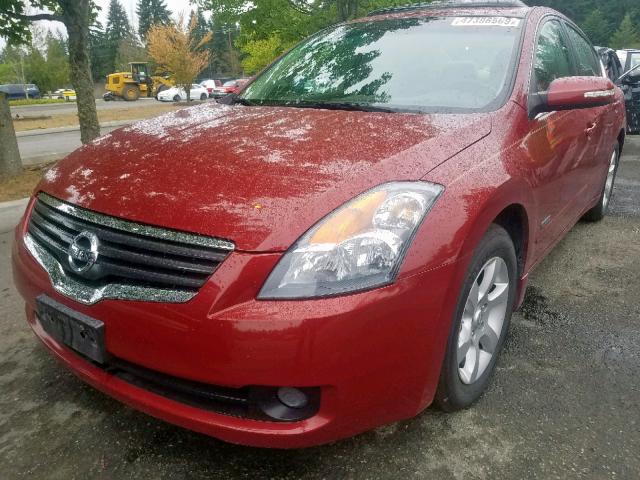 1N4CL21E68C119715 - 2008 NISSAN ALTIMA HYB RED photo 2