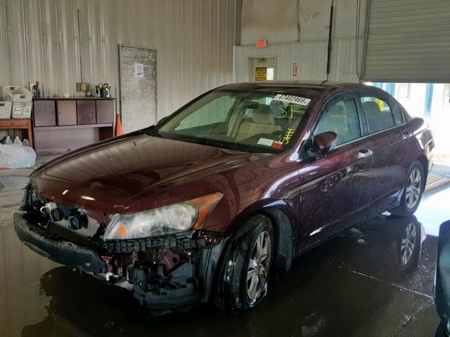 1HGCP26419A176000 - 2009 HONDA ACCORD LXP MAROON photo 2