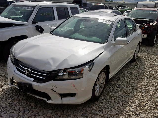 1HGCR2F83EA079663 - 2014 HONDA ACCORD EXL WHITE photo 2