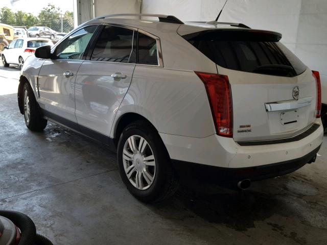 3GYFNAEY6AS626544 - 2010 CADILLAC SRX LUXURY CREAM photo 3