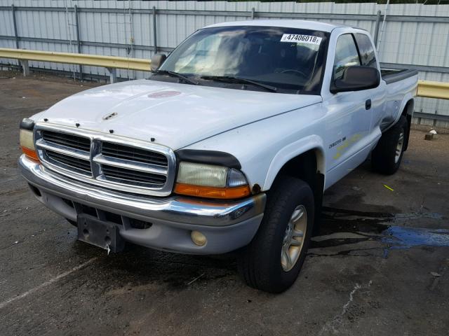 1B7GG22N61S330035 - 2001 DODGE DAKOTA WHITE photo 2