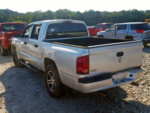 1D7RE3GK8BS520915 - 2011 DODGE DAKOTA SLT SILVER photo 3