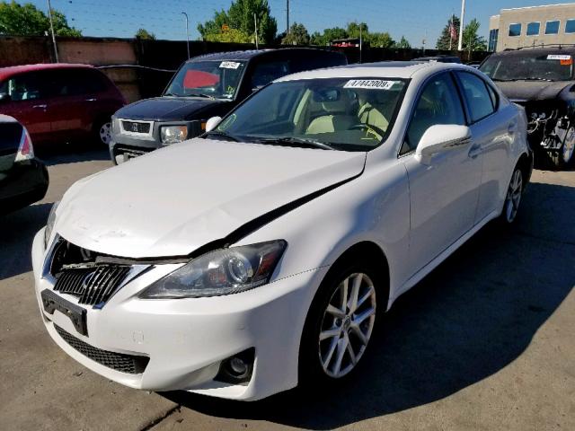 JTHCF5C25C5055460 - 2012 LEXUS IS 250 WHITE photo 2