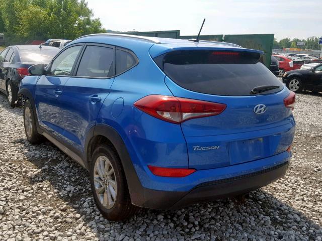 KM8J3CA44HU301868 - 2017 HYUNDAI TUCSON LIM BLUE photo 3