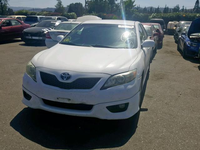 4T1BF3EK5AU565417 - 2010 TOYOTA CAMRY BASE WHITE photo 2