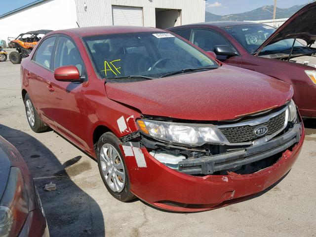 KNAFU4A22C5582659 - 2012 KIA FORTE EX RED photo 1