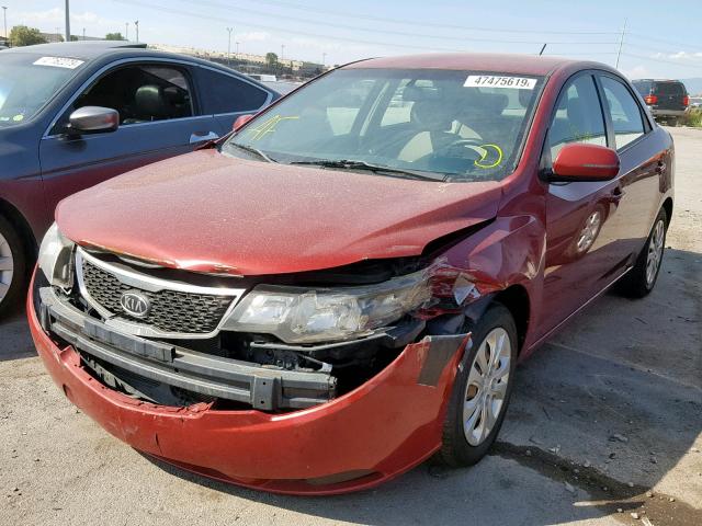 KNAFU4A22C5582659 - 2012 KIA FORTE EX RED photo 2