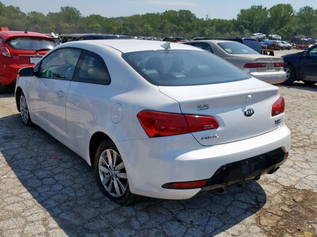 KNAFX6A88E5186858 - 2014 KIA FORTE EX WHITE photo 3