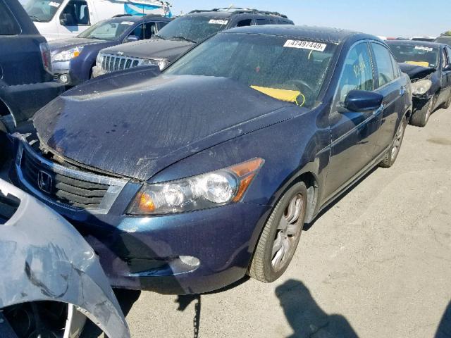 5KBCP3F82AB016910 - 2010 HONDA ACCORD EXL BLACK photo 2