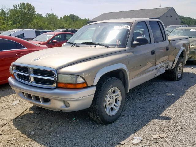 1B7HL48X92S545513 - 2002 DODGE DAKOTA QUA TAN photo 2