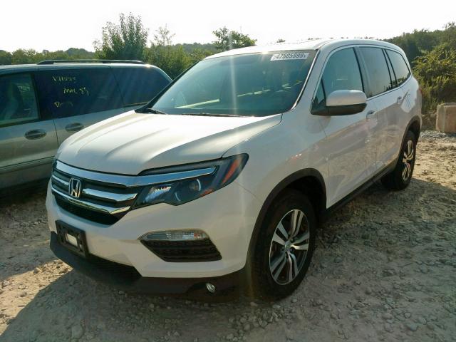 5FNYF5H72HB040366 - 2017 HONDA PILOT EXLN WHITE photo 2