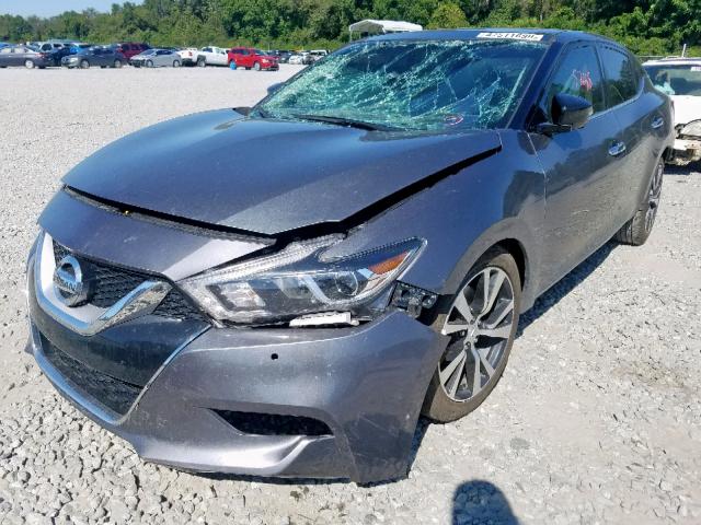 1N4AA6AP6GC420831 - 2016 NISSAN MAXIMA 3.5 GRAY photo 2