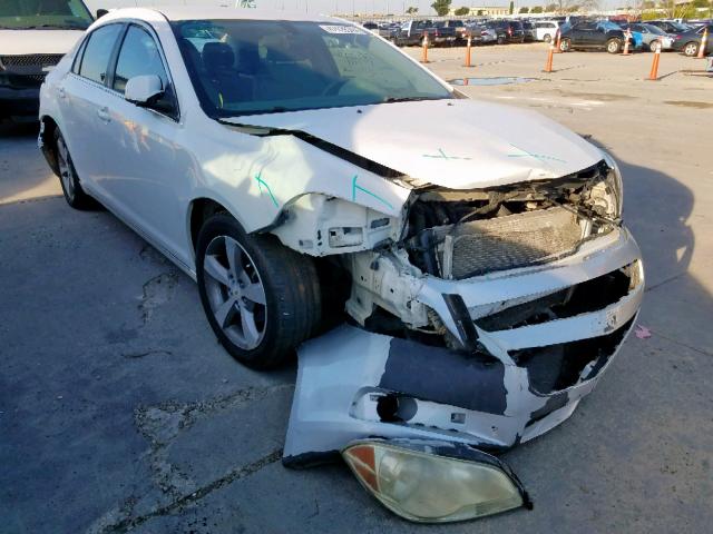 1G1ZC5EU3BF159207 - 2011 CHEVROLET MALIBU 1LT 白色 照片 1