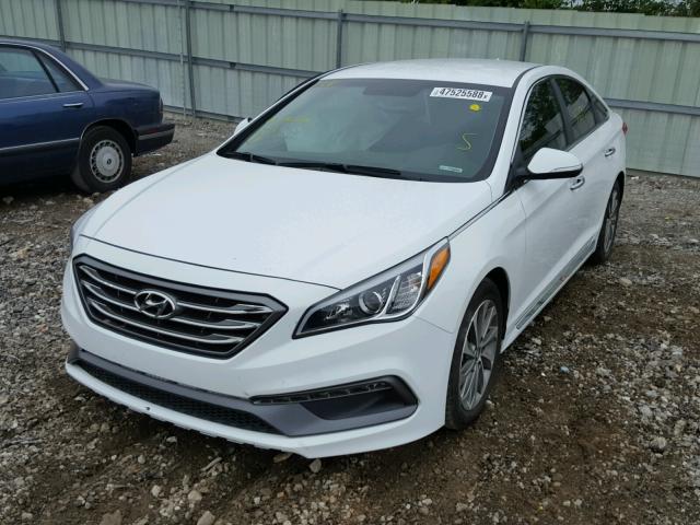 5NPE34AFXGH286329 - 2016 HYUNDAI SONATA SPO WHITE photo 2