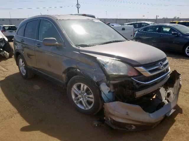 5J6RE4H73AL095245 - 2010 HONDA CR-V EXL GRAY photo 1