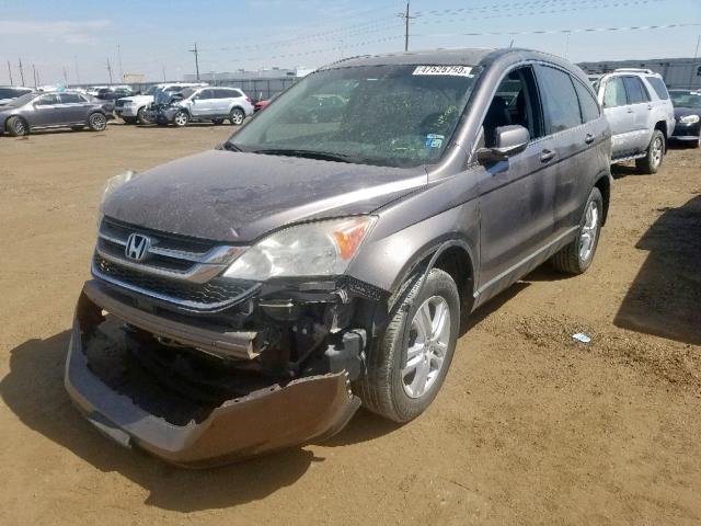 5J6RE4H73AL095245 - 2010 HONDA CR-V EXL GRAY photo 2