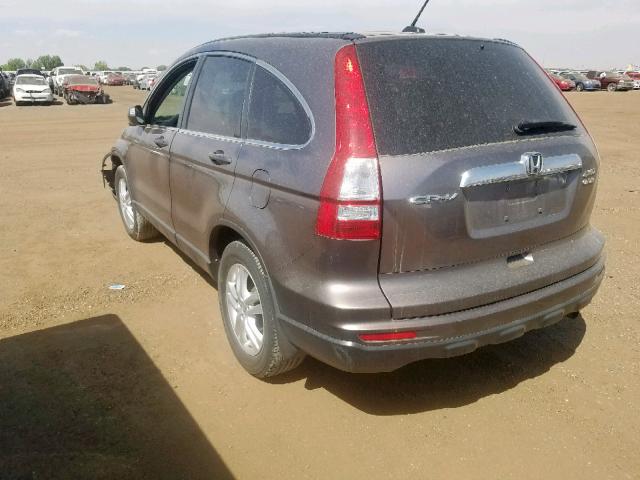 5J6RE4H73AL095245 - 2010 HONDA CR-V EXL GRAY photo 3