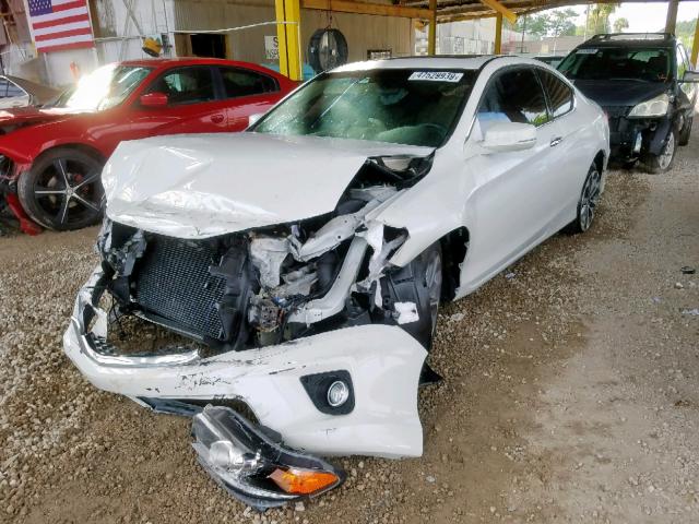 1HGCT2B88DA002695 - 2013 HONDA ACCORD EXL WHITE photo 2