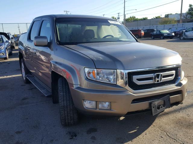 5FPYK16539B102565 - 2009 HONDA RIDGELINE BEIGE photo 1