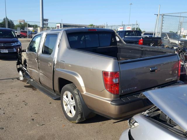 5FPYK16539B102565 - 2009 HONDA RIDGELINE BEIGE photo 3