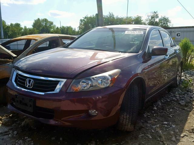 1HGCP36839A020792 - 2009 HONDA ACCORD EXL MAROON photo 2