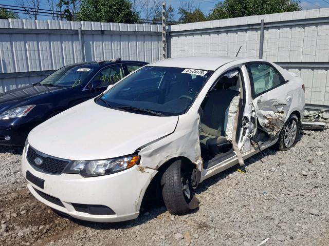 KNAFU4A26D5723010 - 2013 KIA FORTE EX WHITE photo 2