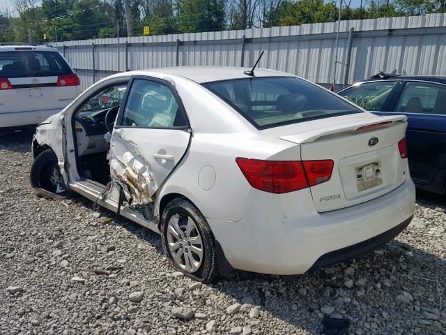 KNAFU4A26D5723010 - 2013 KIA FORTE EX WHITE photo 3