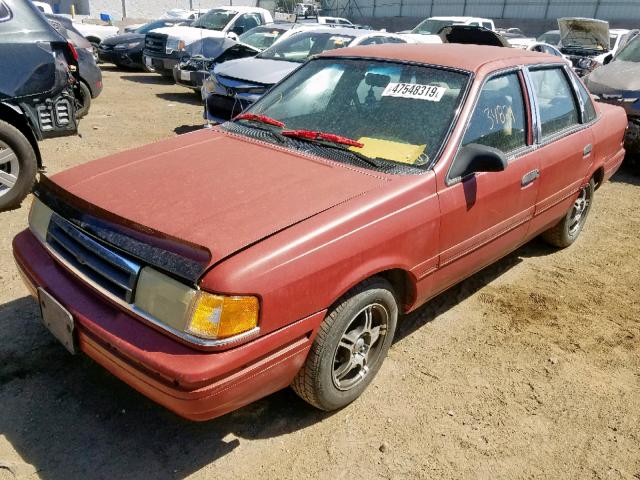 2FAPP36X6MB160085 - 1991 FORD TEMPO GL RED photo 2