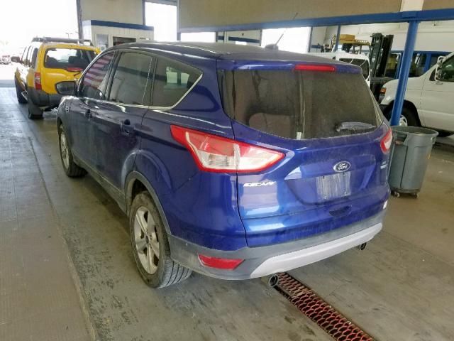 1FMCU9G99DUA14449 - 2013 FORD ESCAPE SE BLUE photo 3