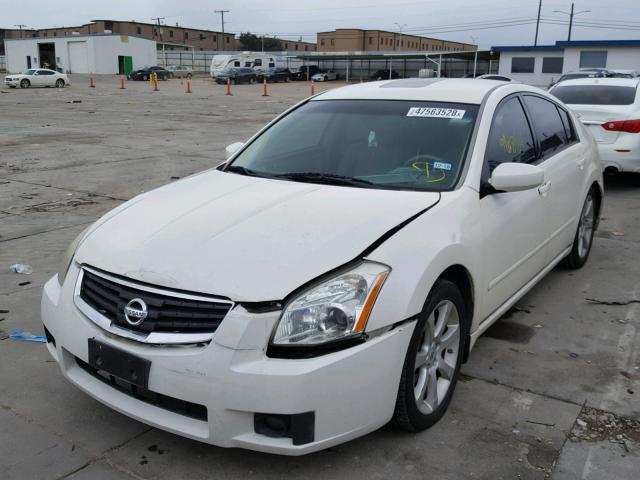 1N4BA41E38C823951 - 2008 NISSAN MAXIMA SE WHITE photo 2