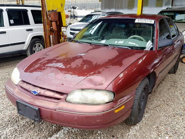 2G1WL52J2Y1140516 - 2000 CHEVROLET LUMINA BURGUNDY photo 2