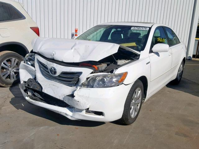 4T1BB46K59U077354 - 2009 TOYOTA CAMRY HYBR WHITE photo 2