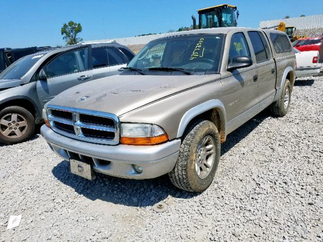 1B7HL48X02S622799 - 2002 DODGE DAKOTA QUA TAN photo 2