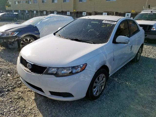 KNAFU4A20A5853506 - 2010 KIA FORTE EX WHITE photo 2