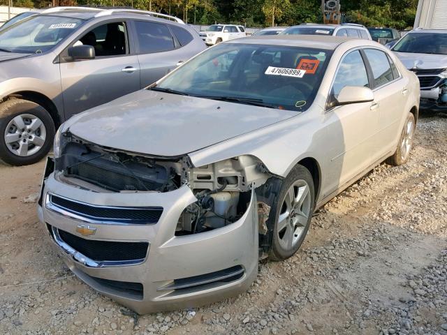 1G1ZH57B99F145822 - 2009 CHEVROLET MALIBU 1LT 金色 照片 2
