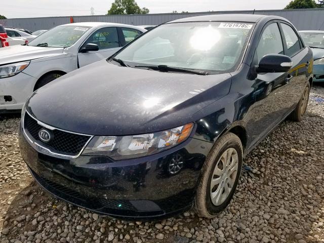 KNAFU4A26A5874232 - 2010 KIA FORTE EX BLACK photo 2