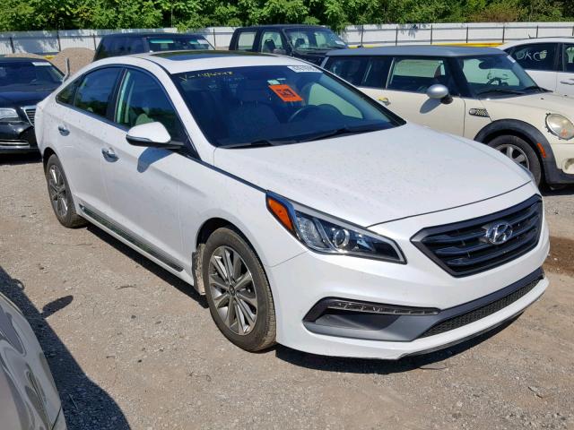 5NPE34AF5GH406778 - 2016 HYUNDAI SONATA SPO WHITE photo 1