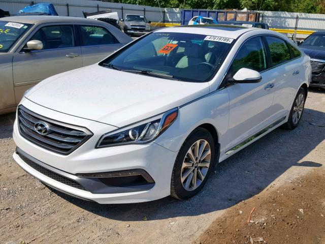 5NPE34AF5GH406778 - 2016 HYUNDAI SONATA SPO WHITE photo 2