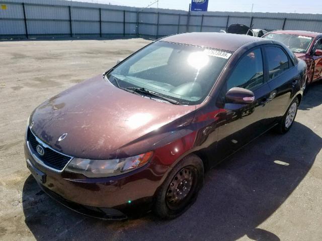 KNAFU4A25A5249482 - 2010 KIA FORTE EX MAROON photo 2