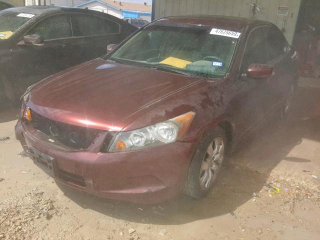 JHMCP26858C042514 - 2008 HONDA ACCORD EXL BURGUNDY photo 2