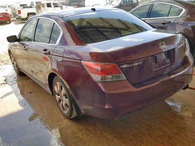 JHMCP26858C042514 - 2008 HONDA ACCORD EXL BURGUNDY photo 3